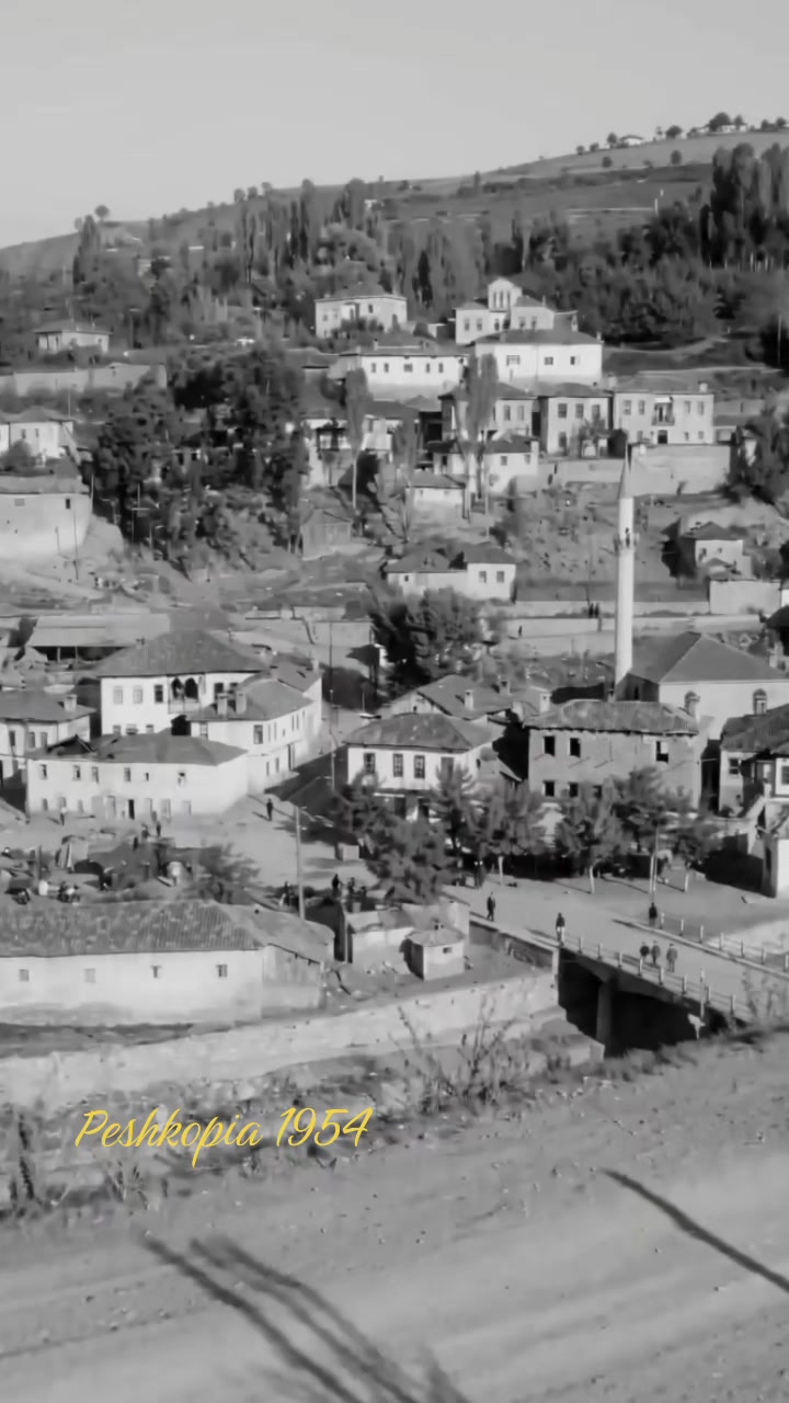 @DIBRA-REALE