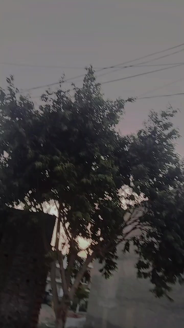 @sky