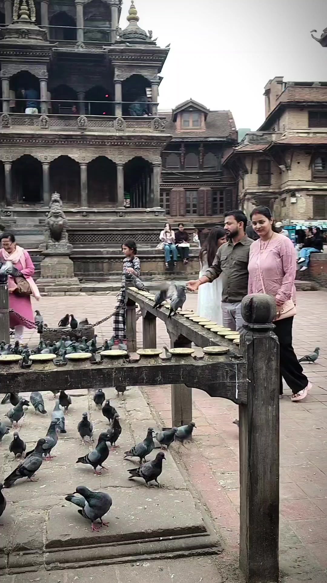 @🦋🦋Punam ydv🦋🦋(P♥️R)
