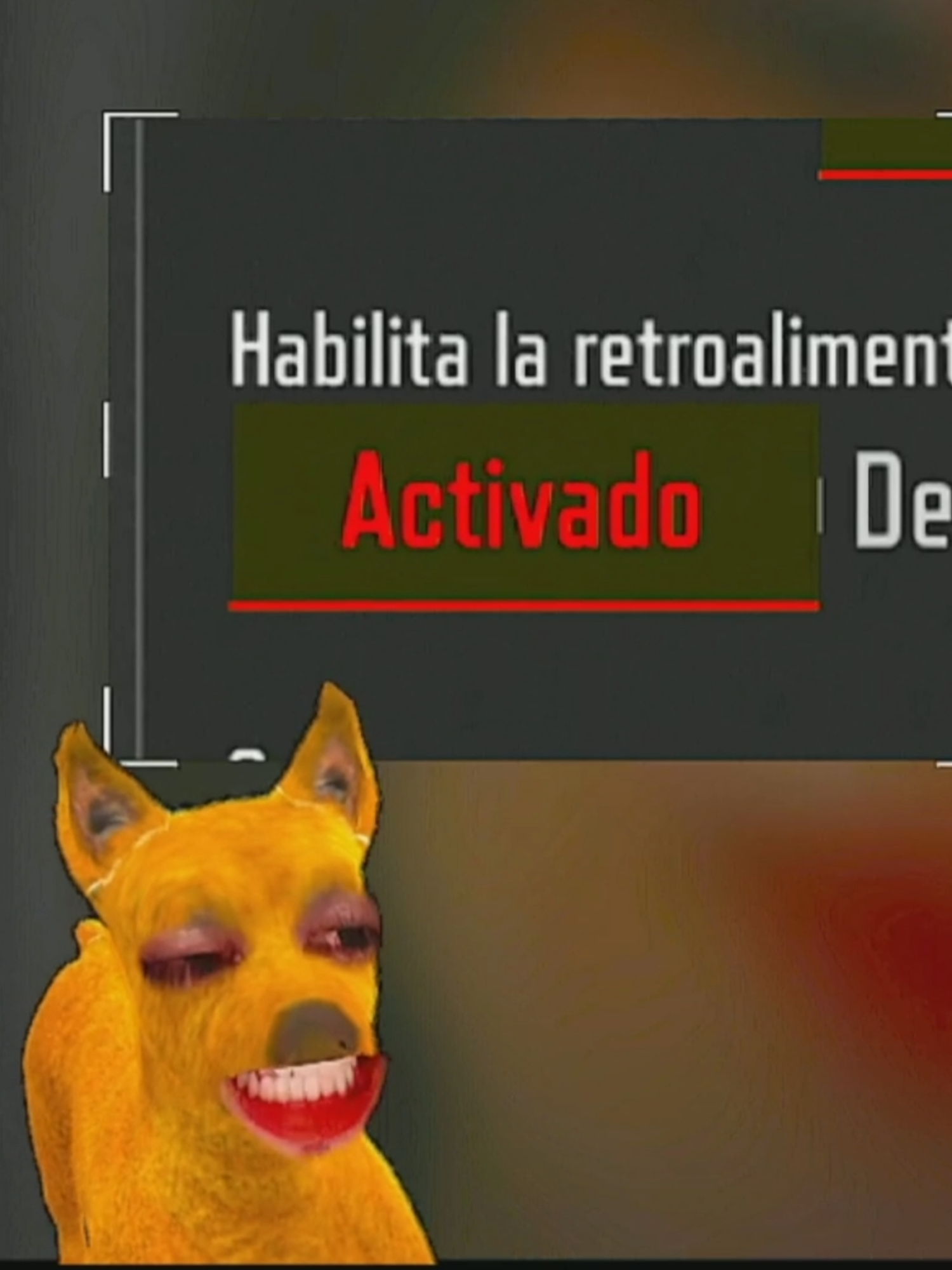 @ZODAGA