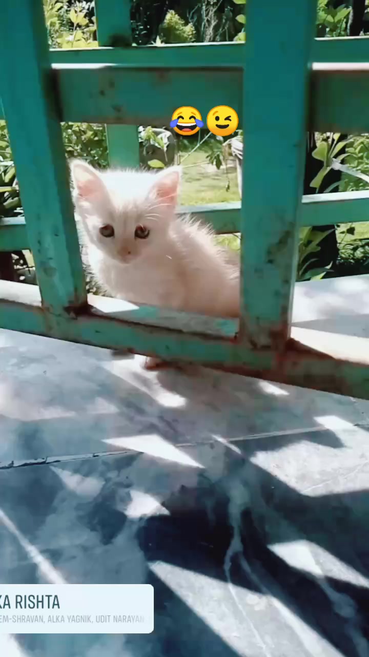 @Rj.Dr shafaq kazmi (Official)