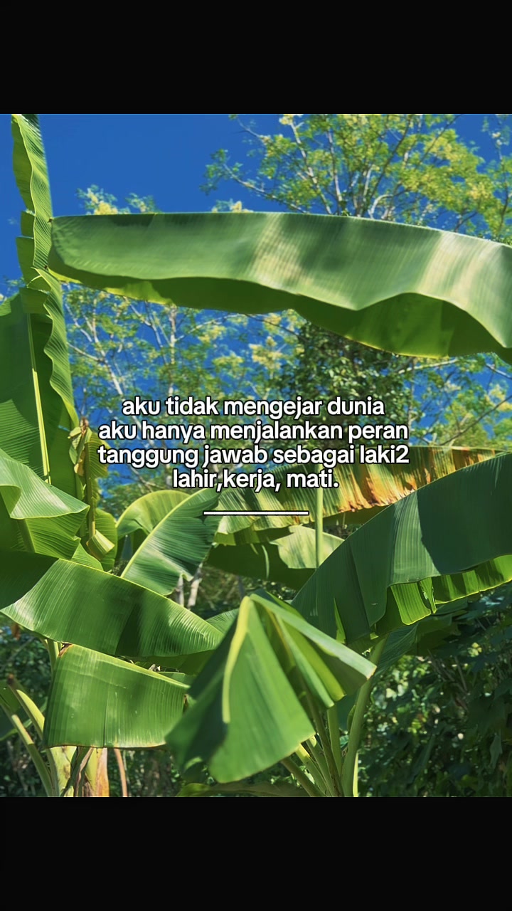 @INTROVERT