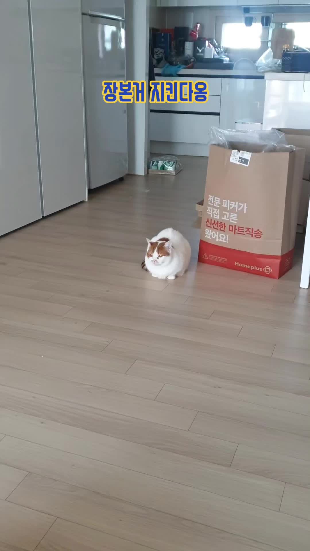 @이폭간