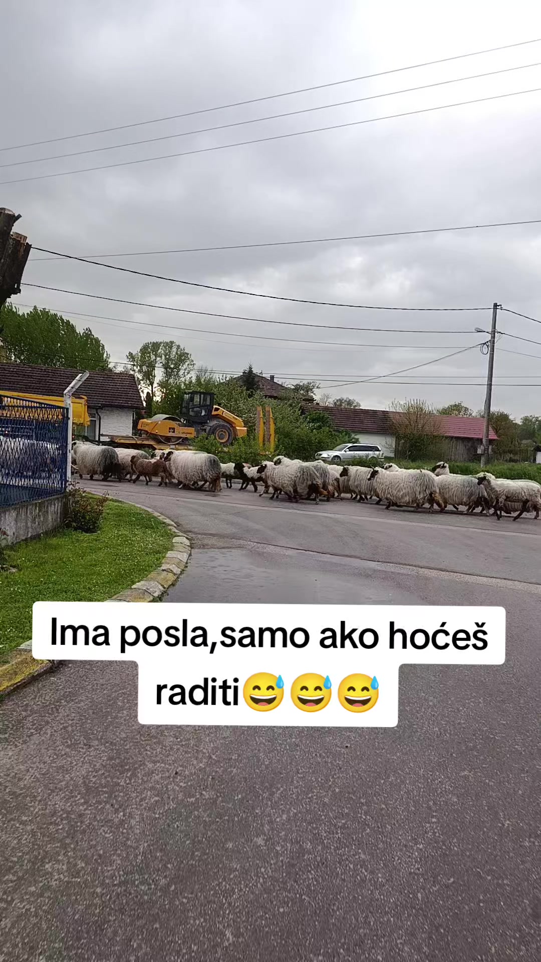@Sladjan🎱🎭