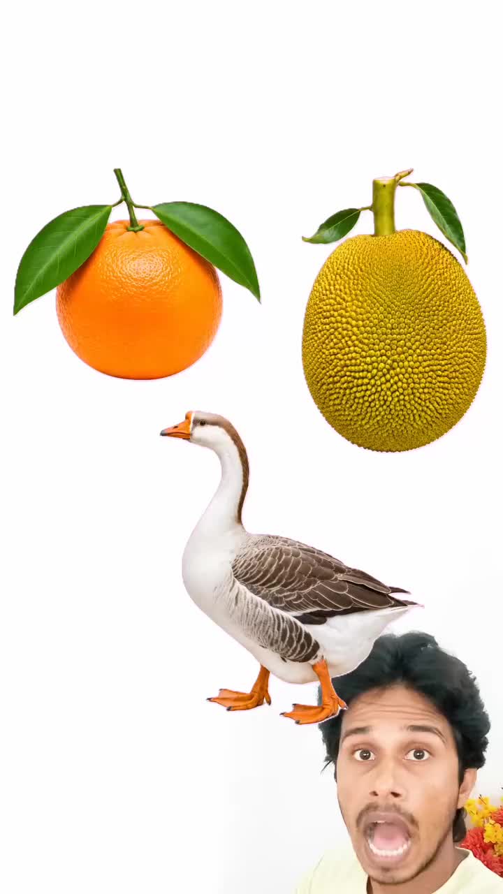 @PRAJAPATI