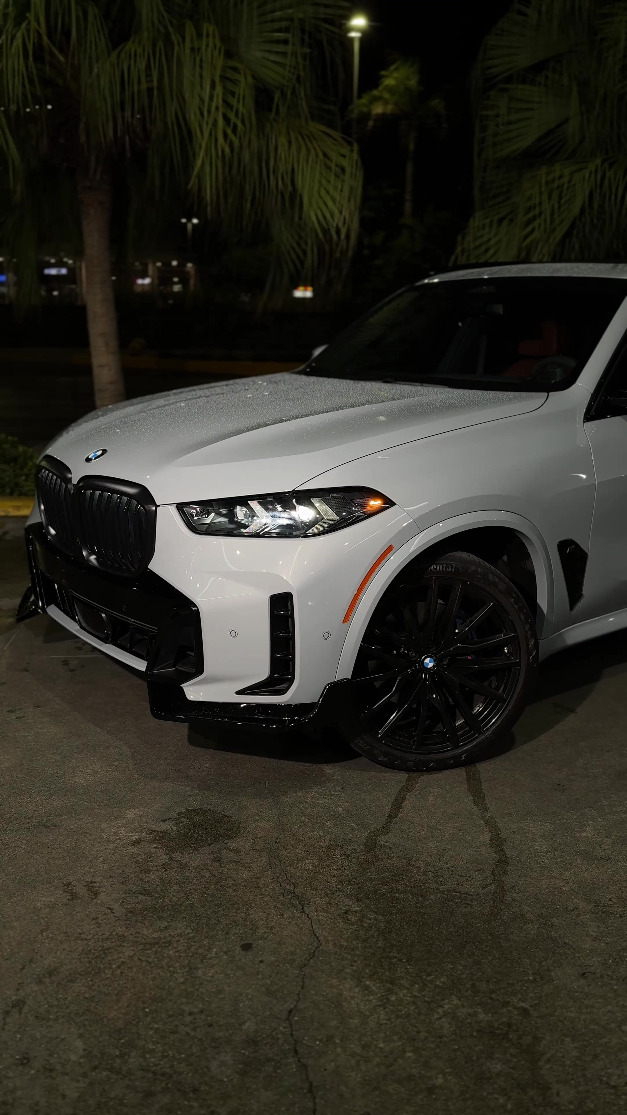 @Cocodrilo Auto Detailing