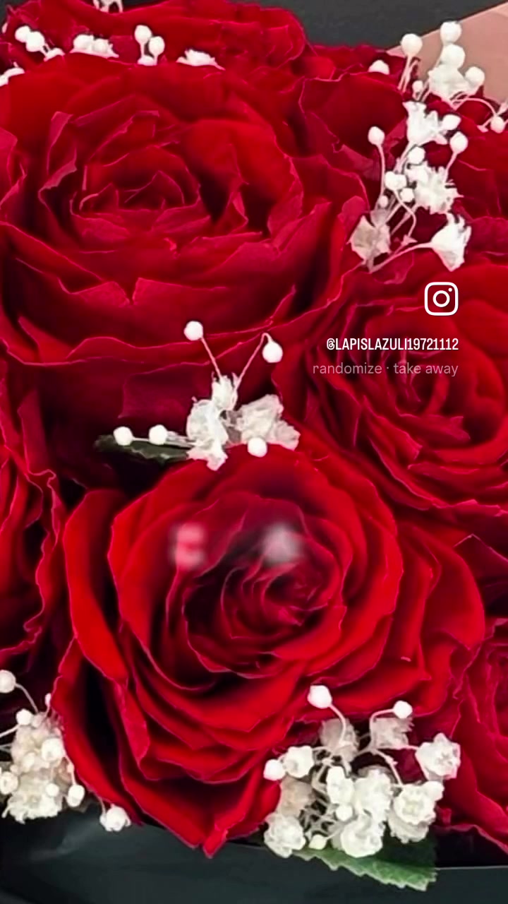 @lapislazuli19721112