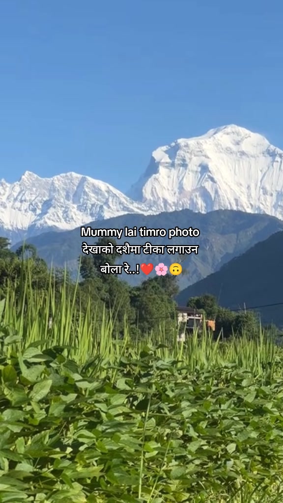 @Binam Chhetri ❤️🩹