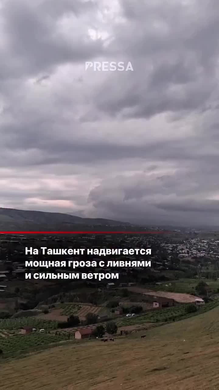 @Пресса – Новости Узбекистана