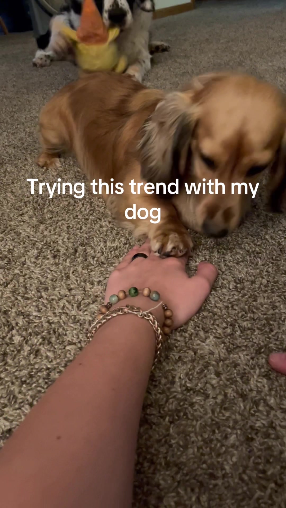 @Shabusslin