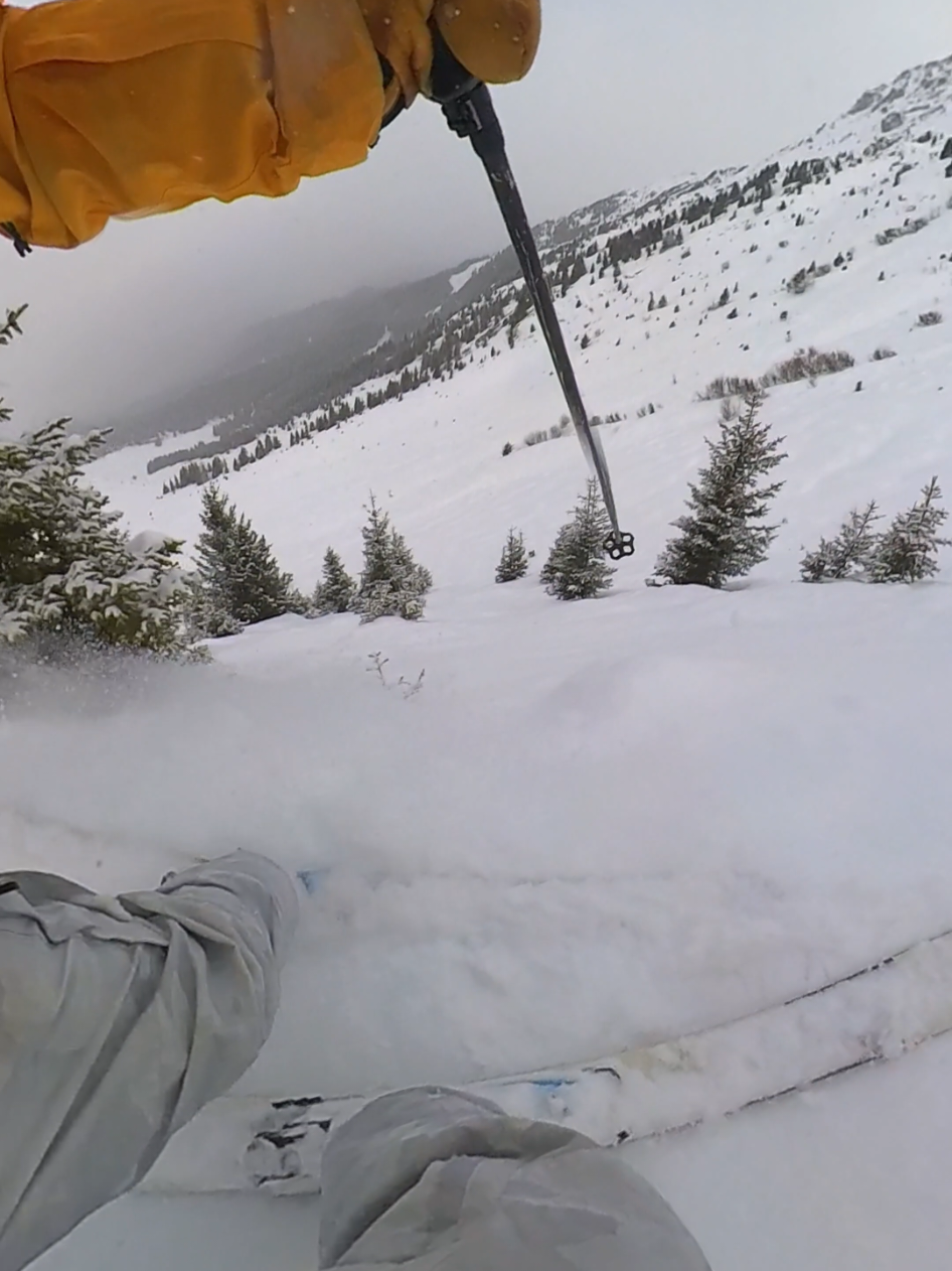 @cam_skis_pow