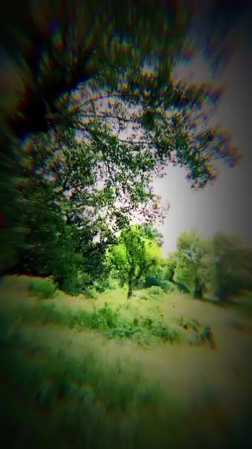 @چوہدری منان