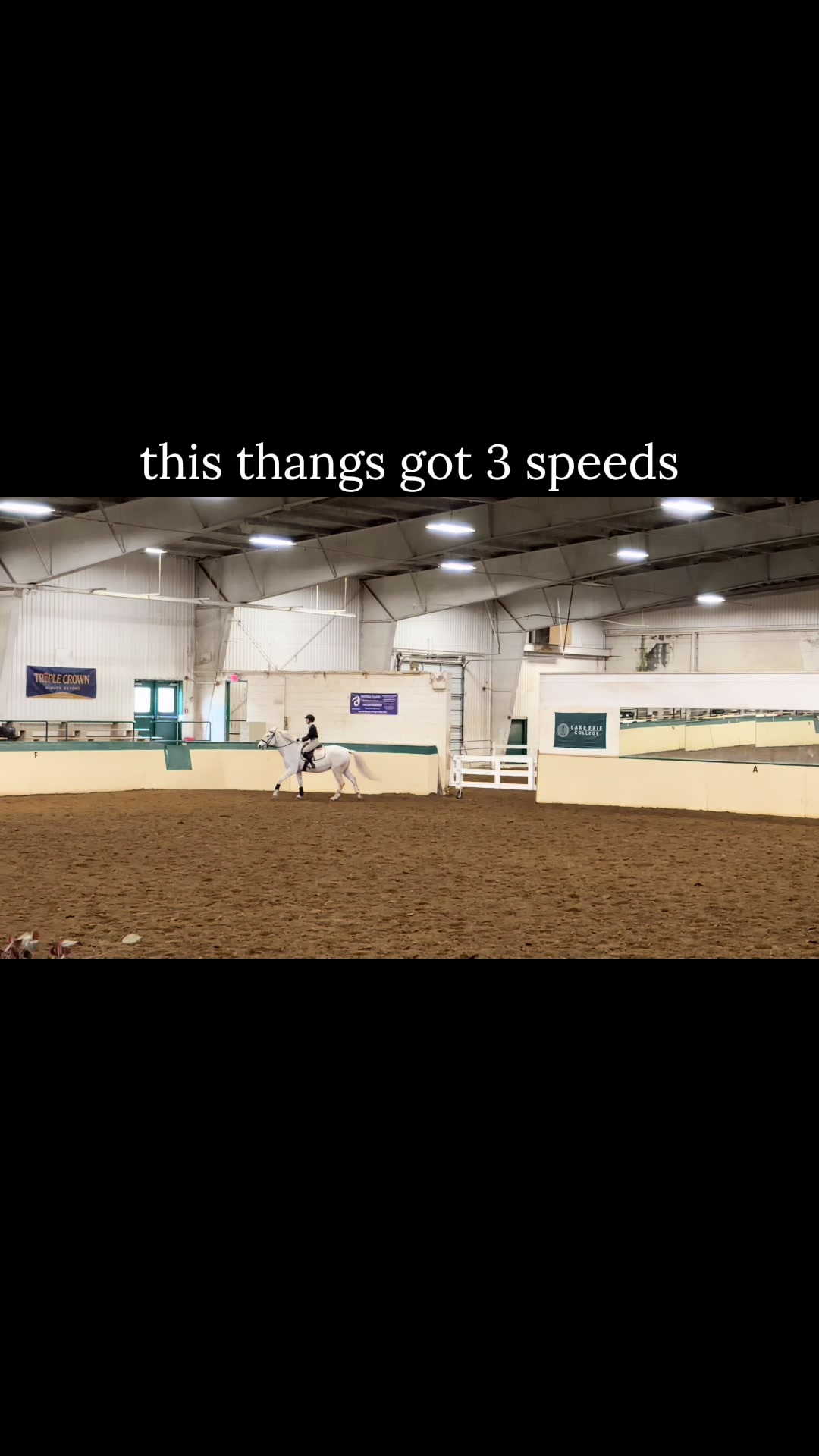 @🌻Kaitlyn C. Dudycz🐴