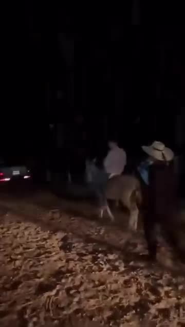 @K.borja🐴