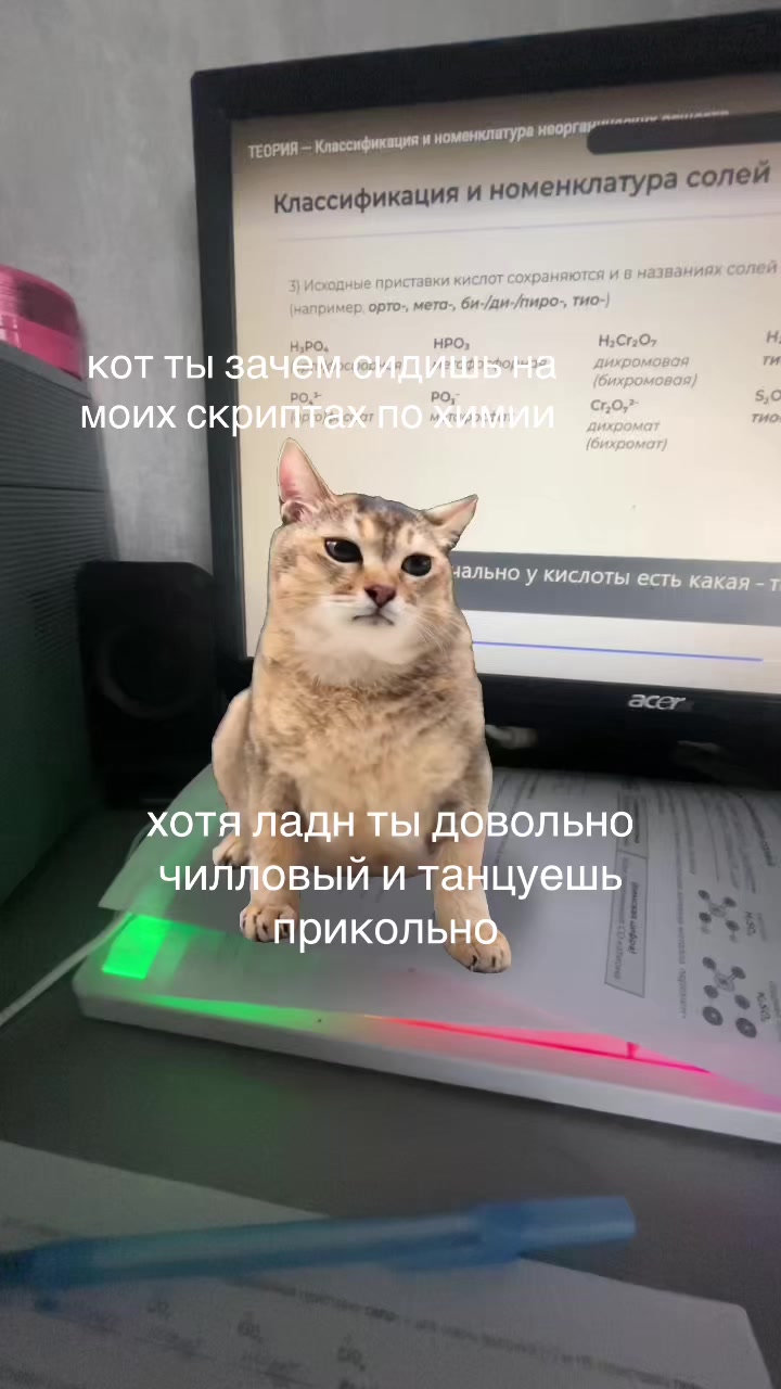 @настя мураве