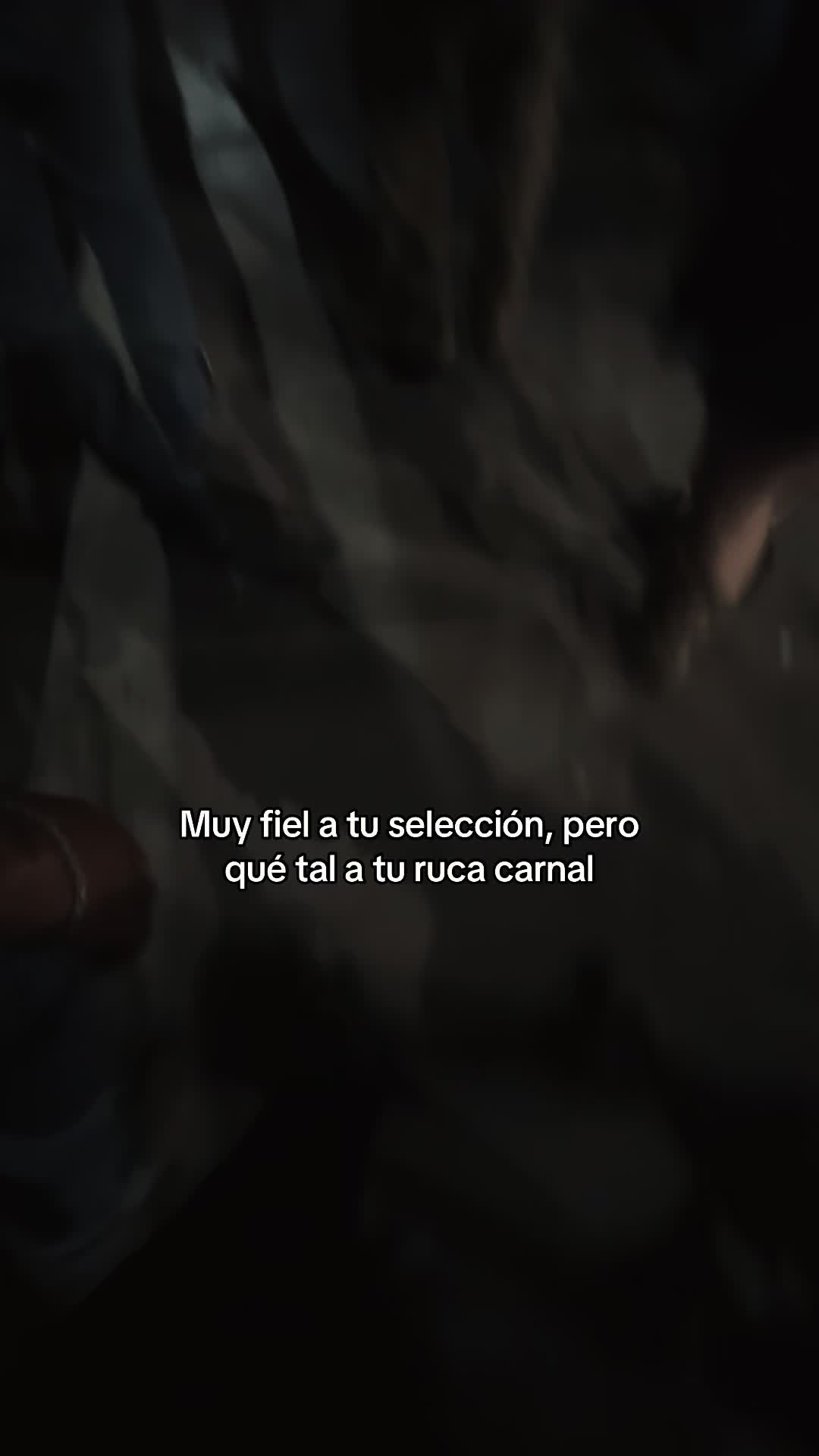 @giavibees