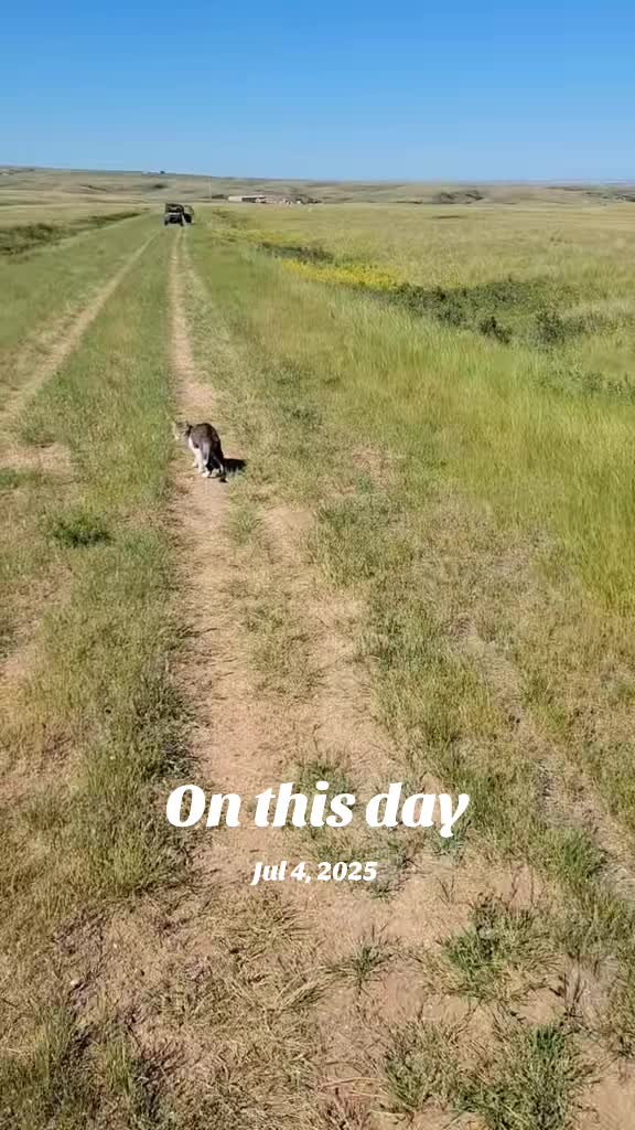 @Flint_❌ARRR Rescue Ranch