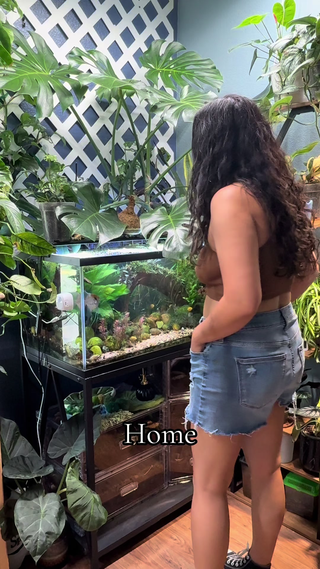 @dannys_fish_and_plants