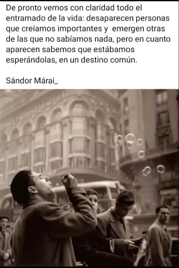 @Chema Camacho