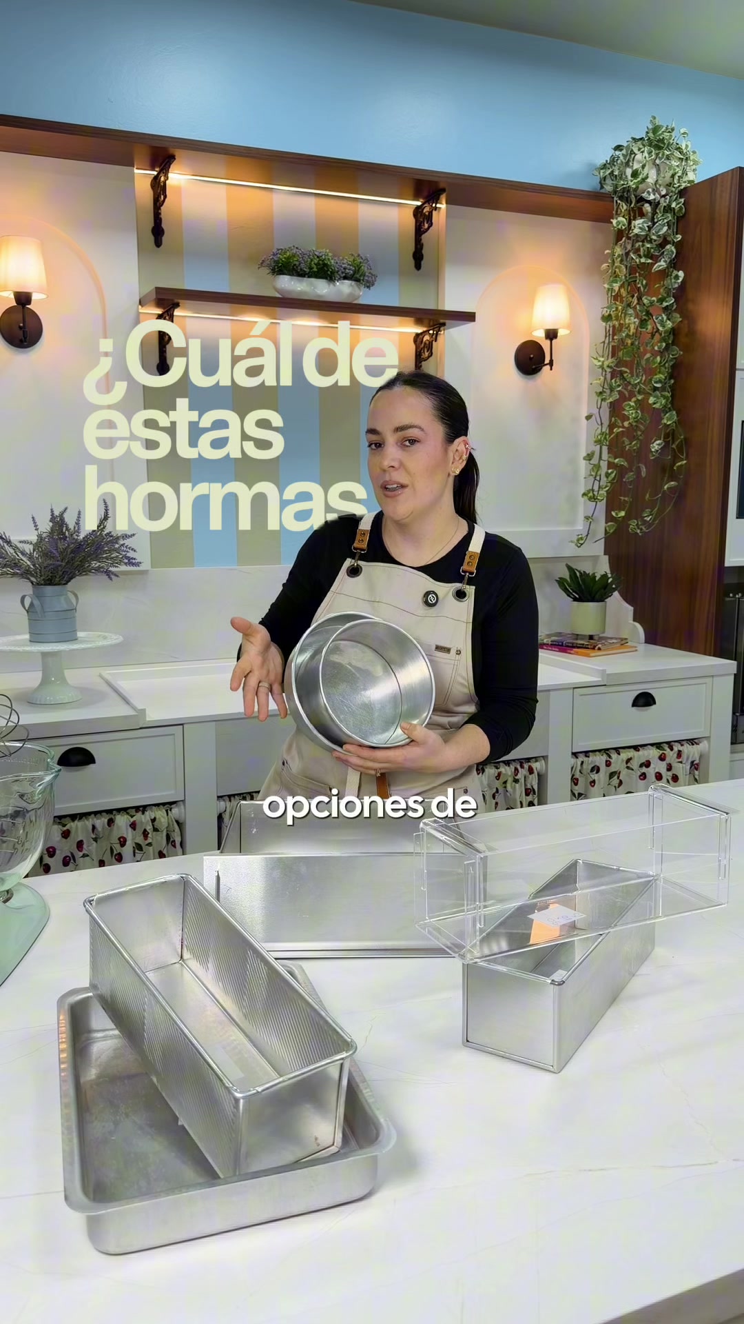 @Carina Lovera Repostera G