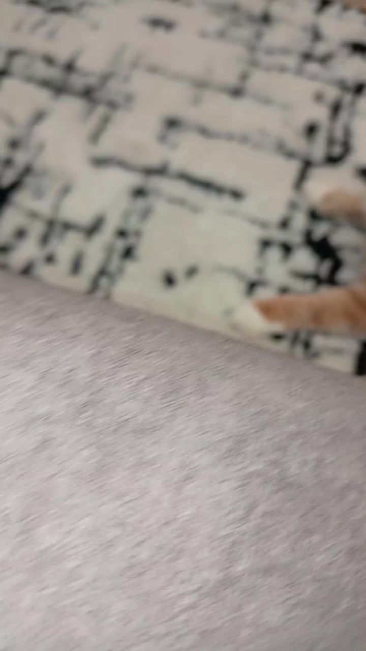 @L A W T 我愛我媽 ❤️