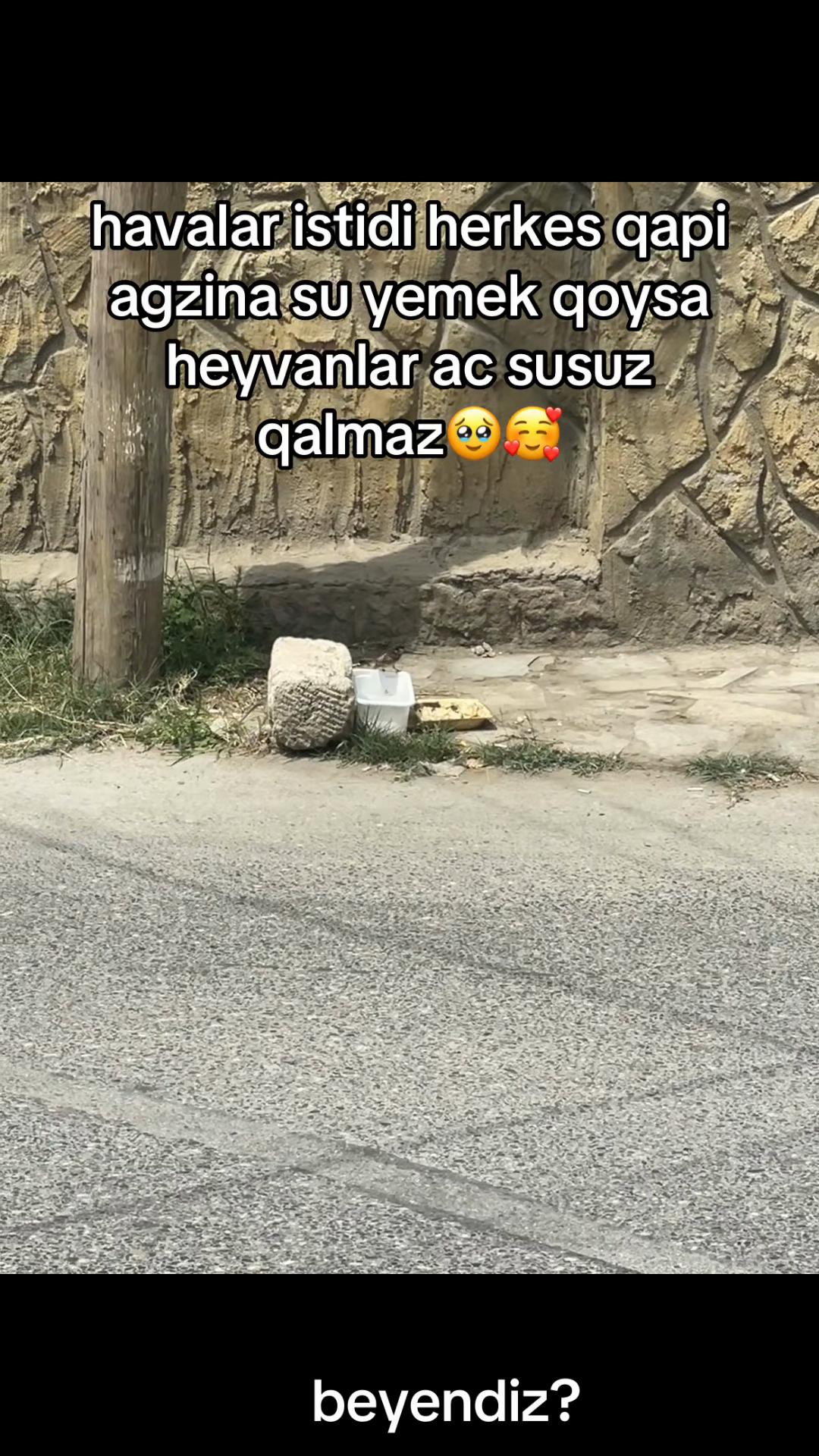 @tobi_bakılı