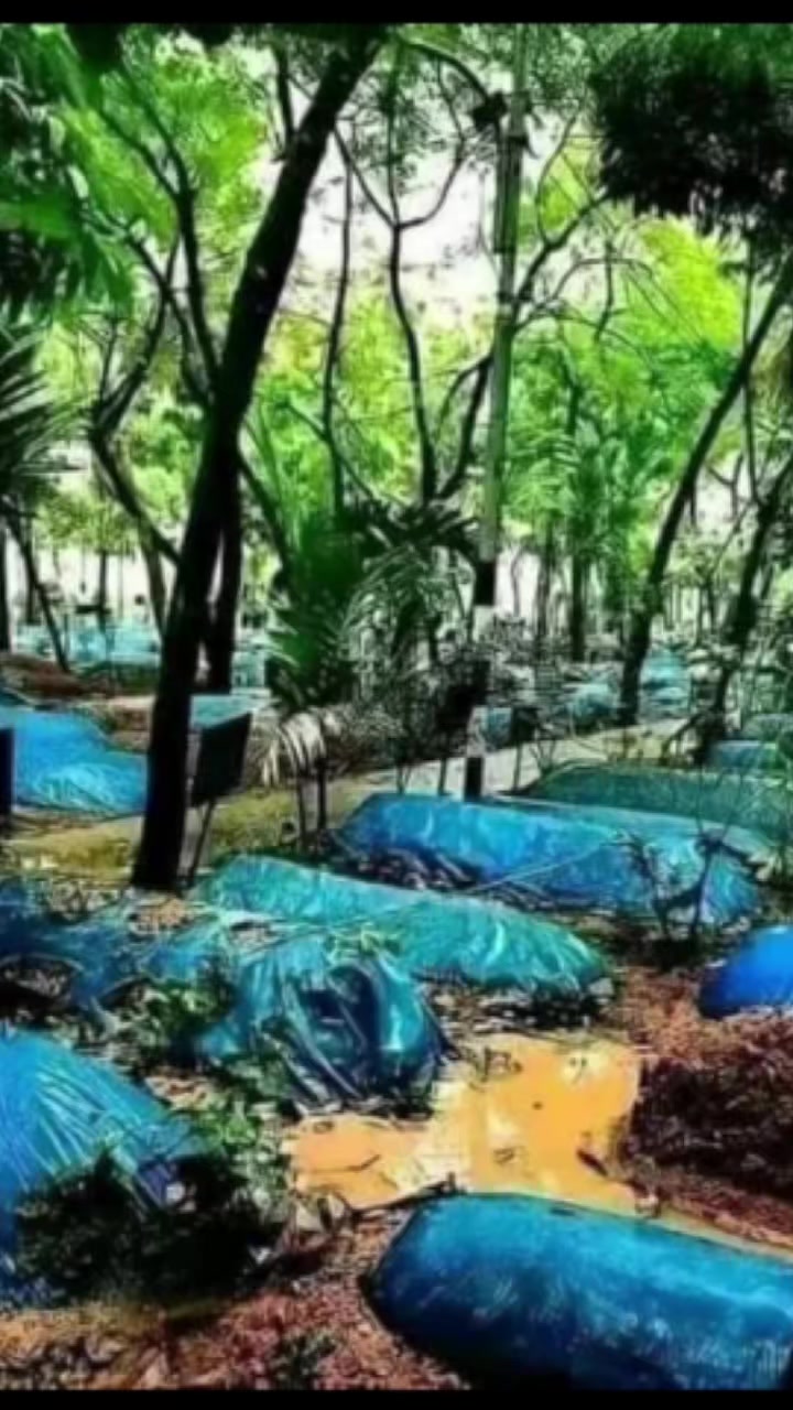 @🥰🥰🥰আমি মায়াবী রাজকুমারী 🥰