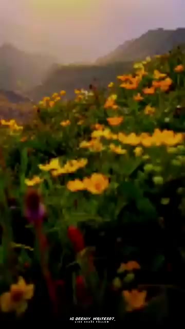 @Shahjad Shahjad