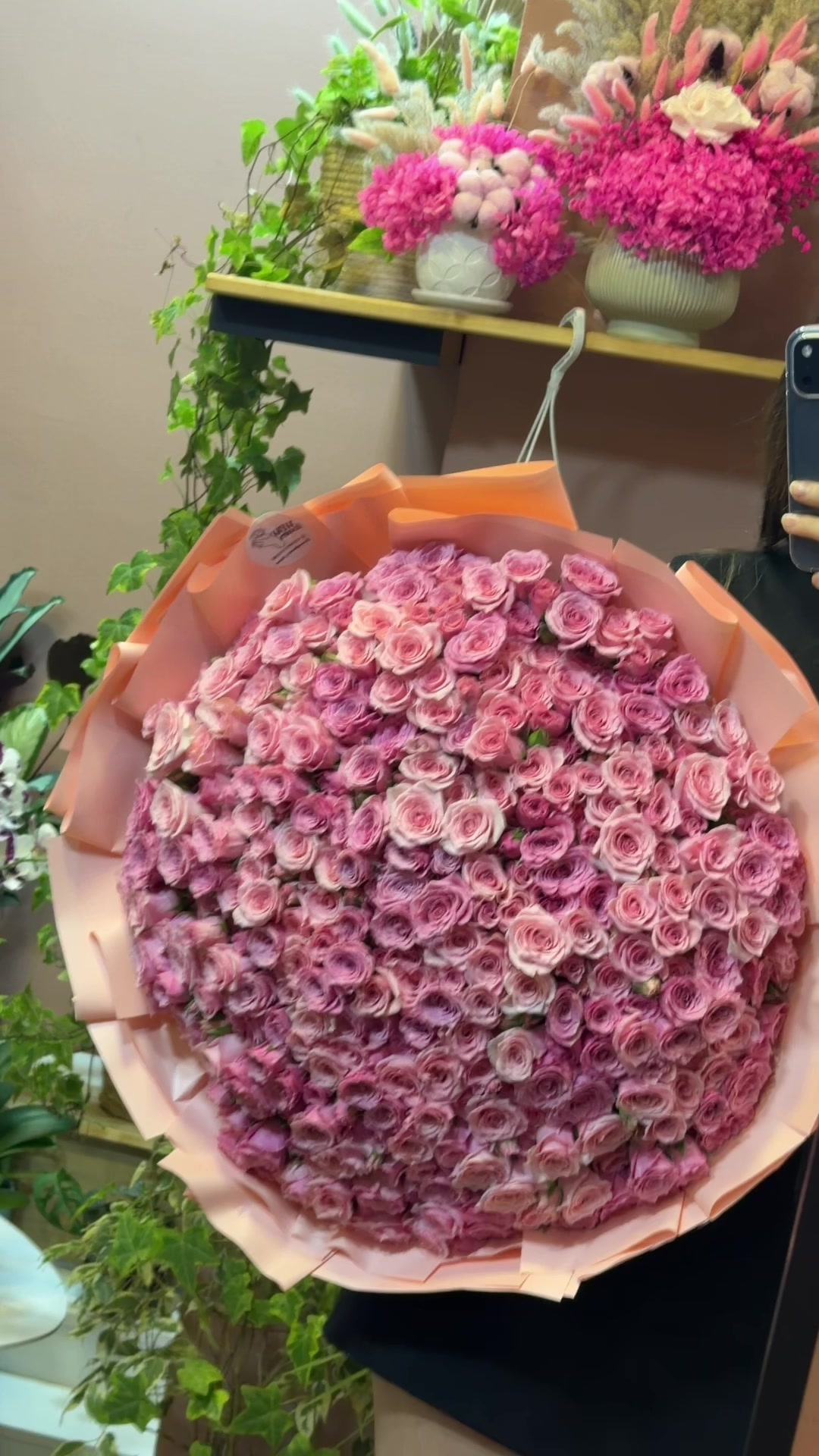 @wowflower.tirana
