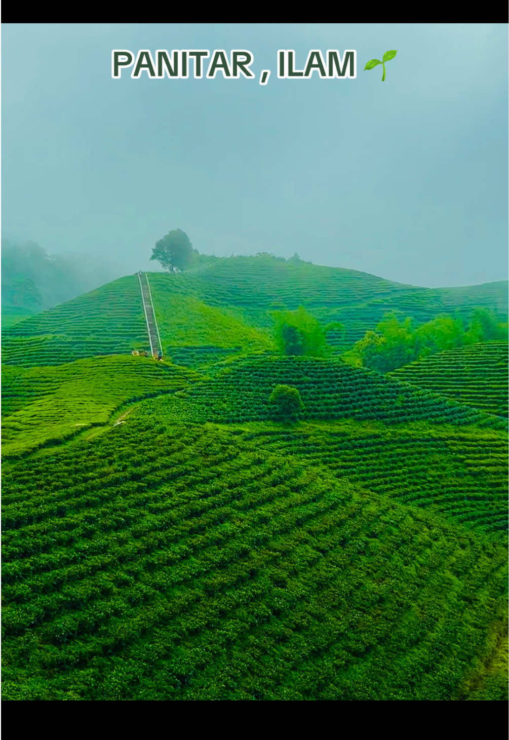 @rekhakhanal2002