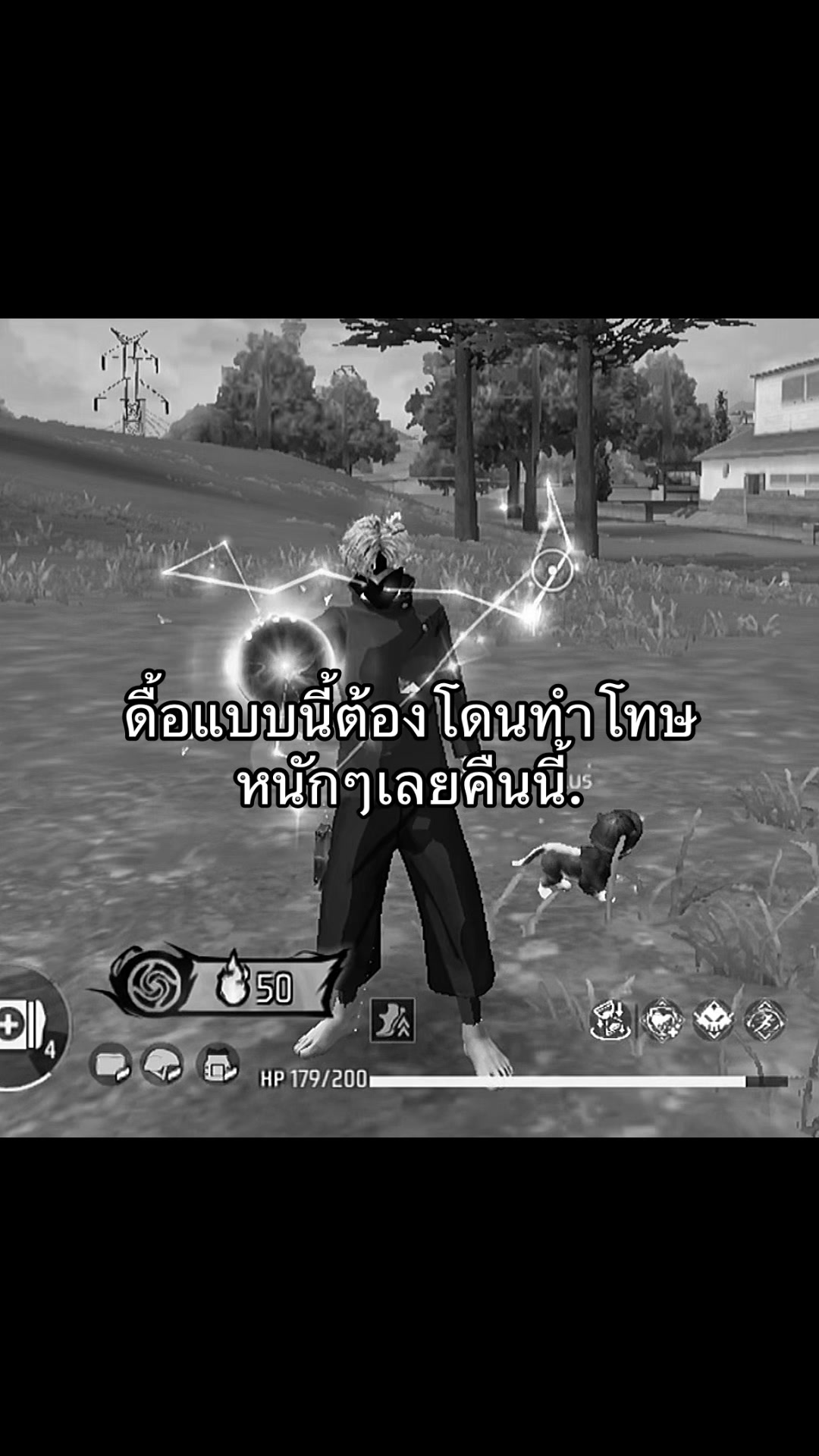 @แมวไม่มีเจ้าของ