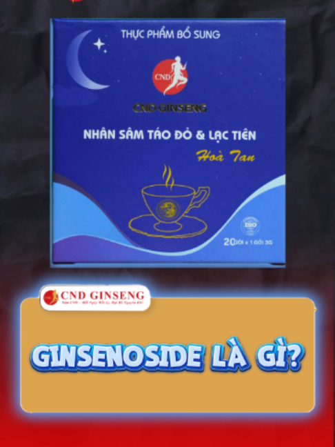 @CND GINSENG Bà Rịa