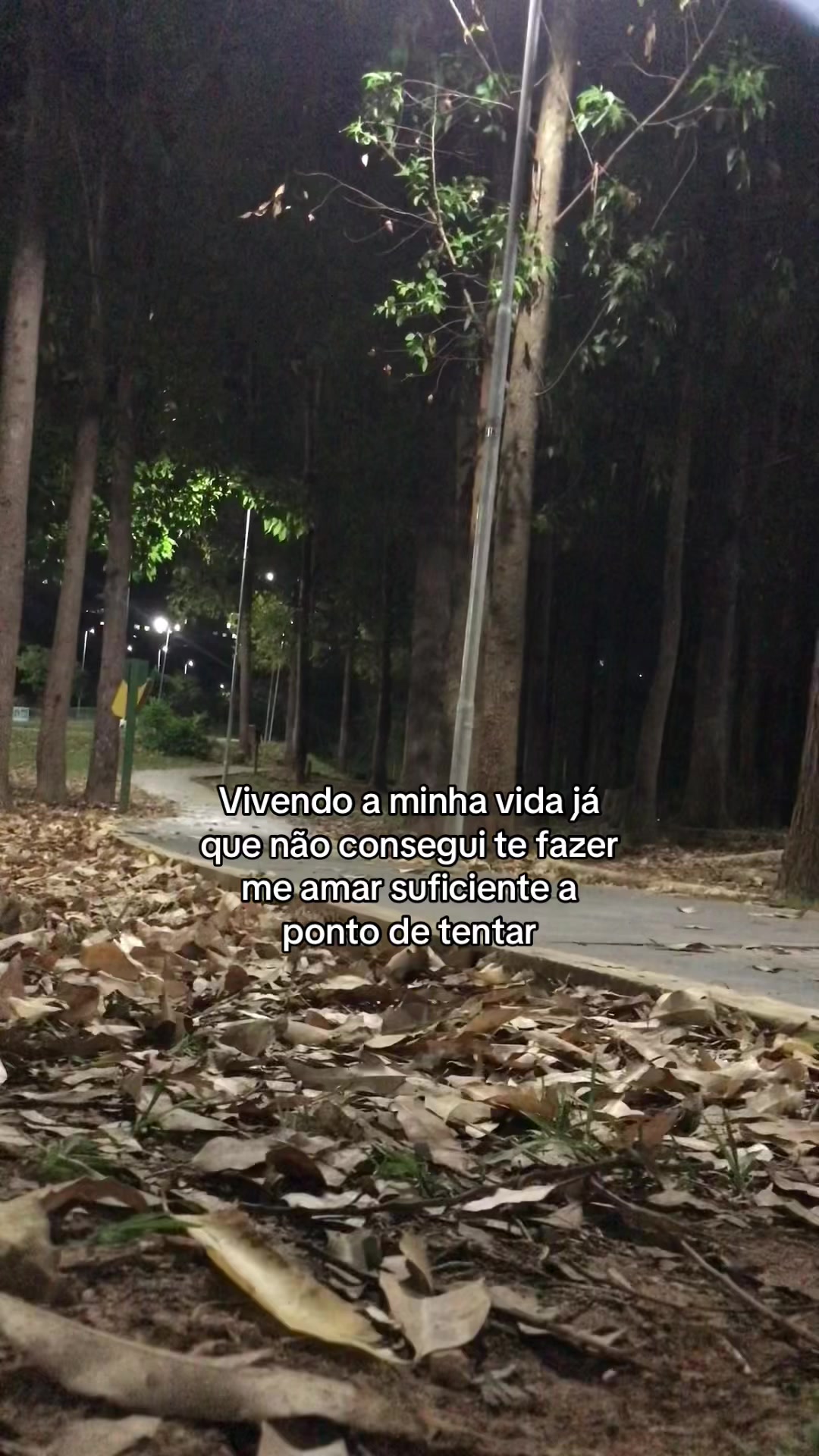 @vit&atilde;o