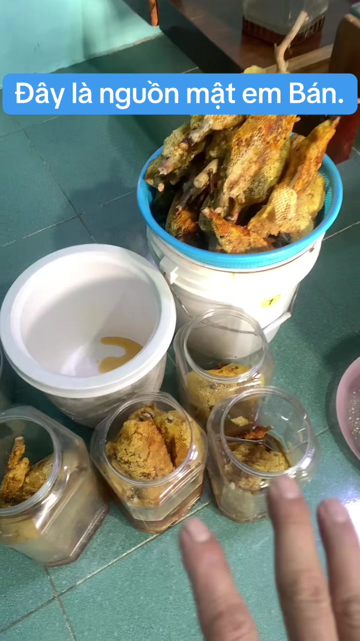 @Mật rừng Tây nguyên Đaklak