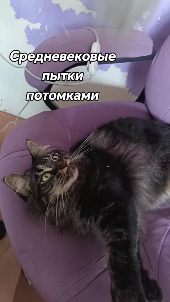 @amusleninblyadina