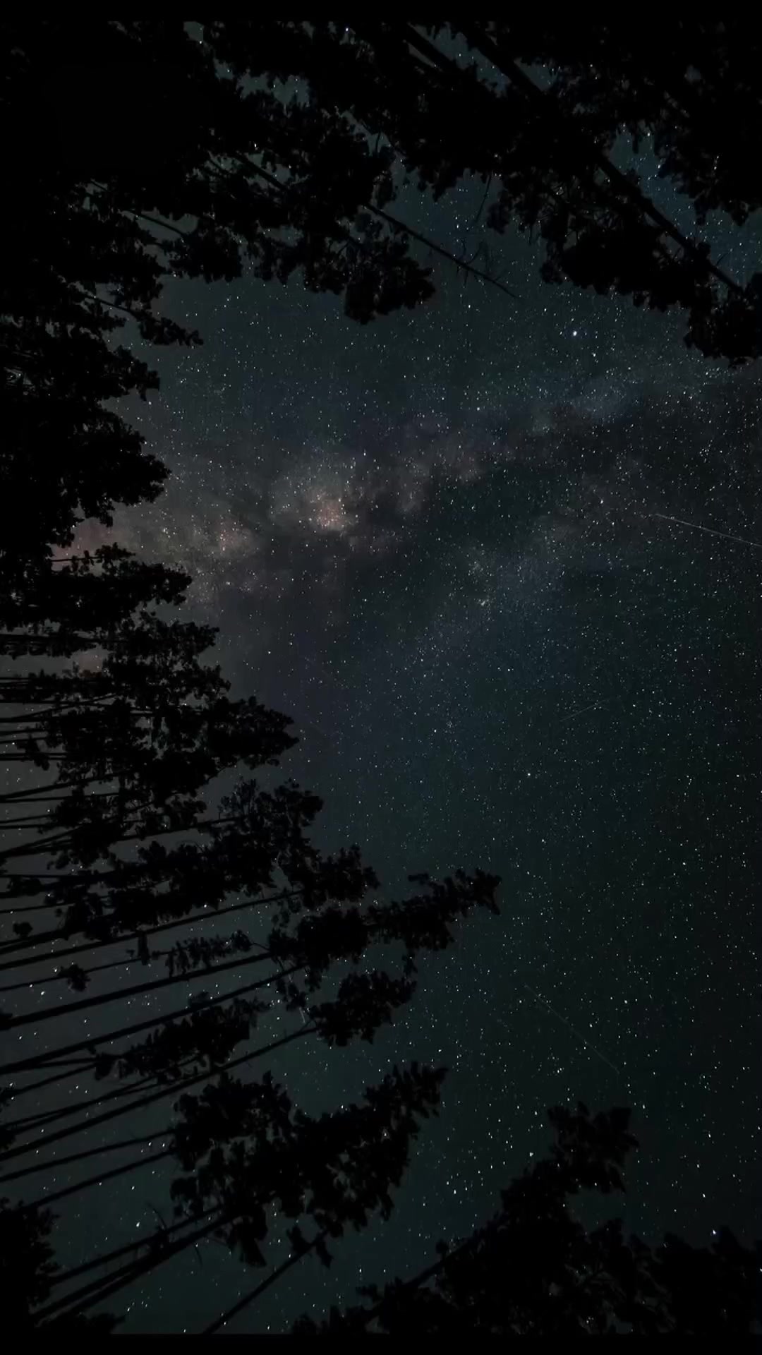 @𝒹
