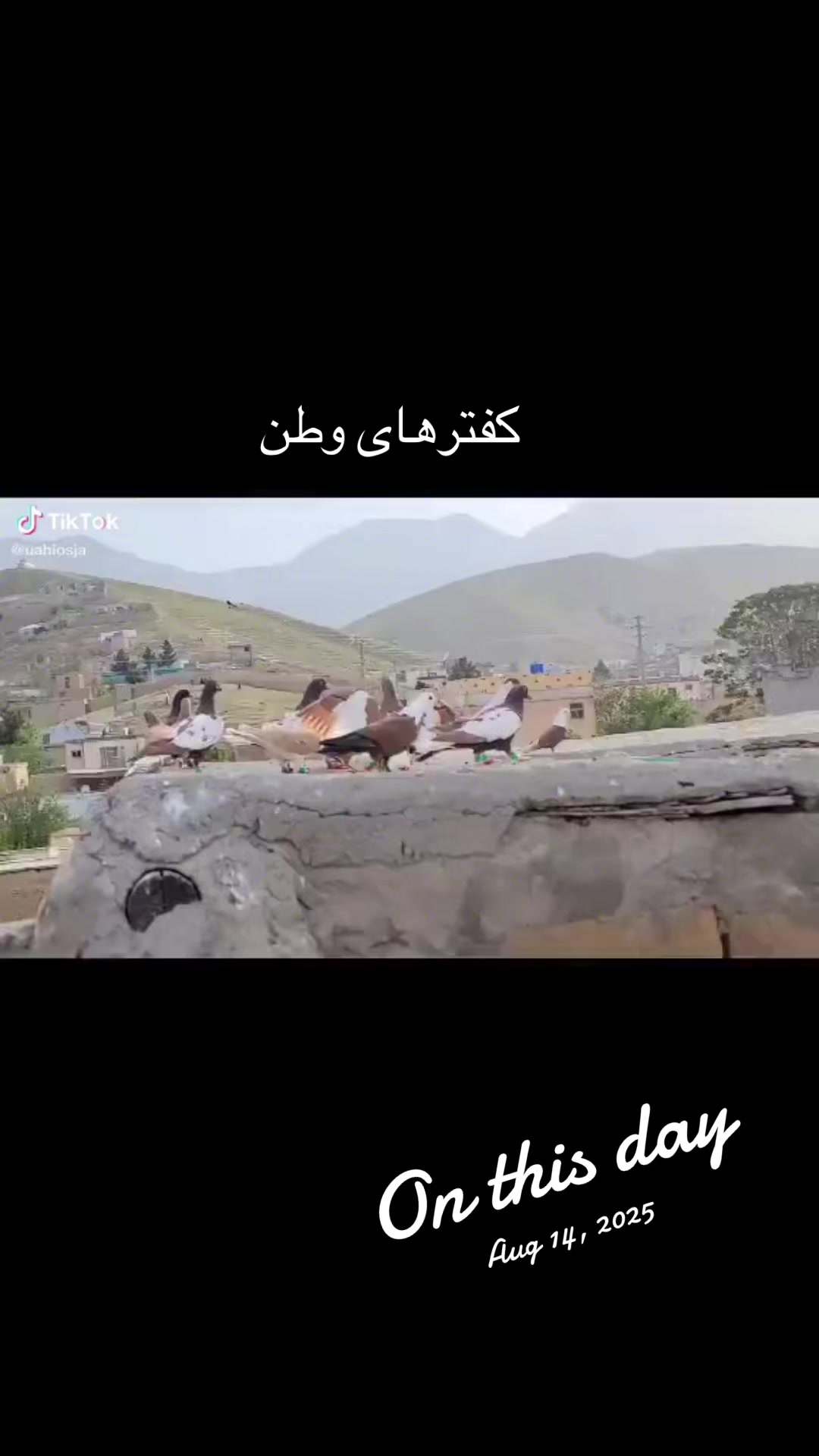 @Naweed Qiyami🇨🇦🇦🇫