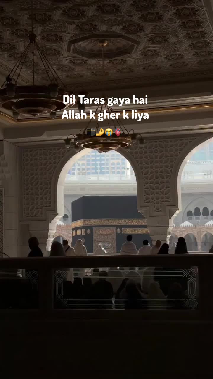 @𝑺𝒉𝒂𝒊𝒏𝒂 ✨❤️
