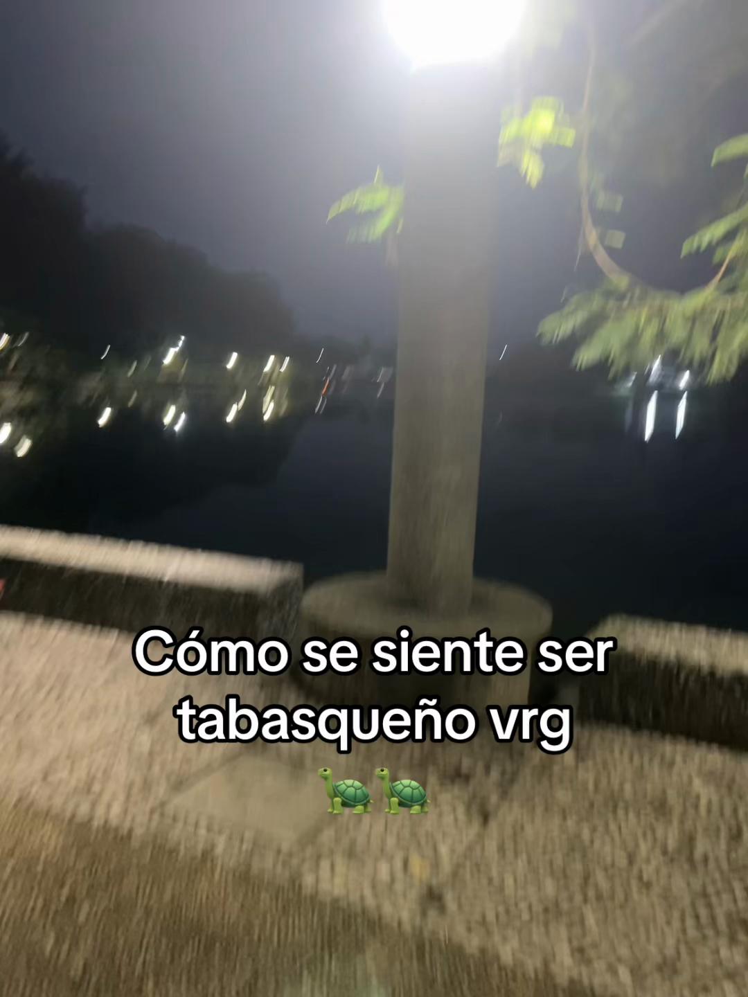 @๐ข๐ojitos -verdes๐๐ข