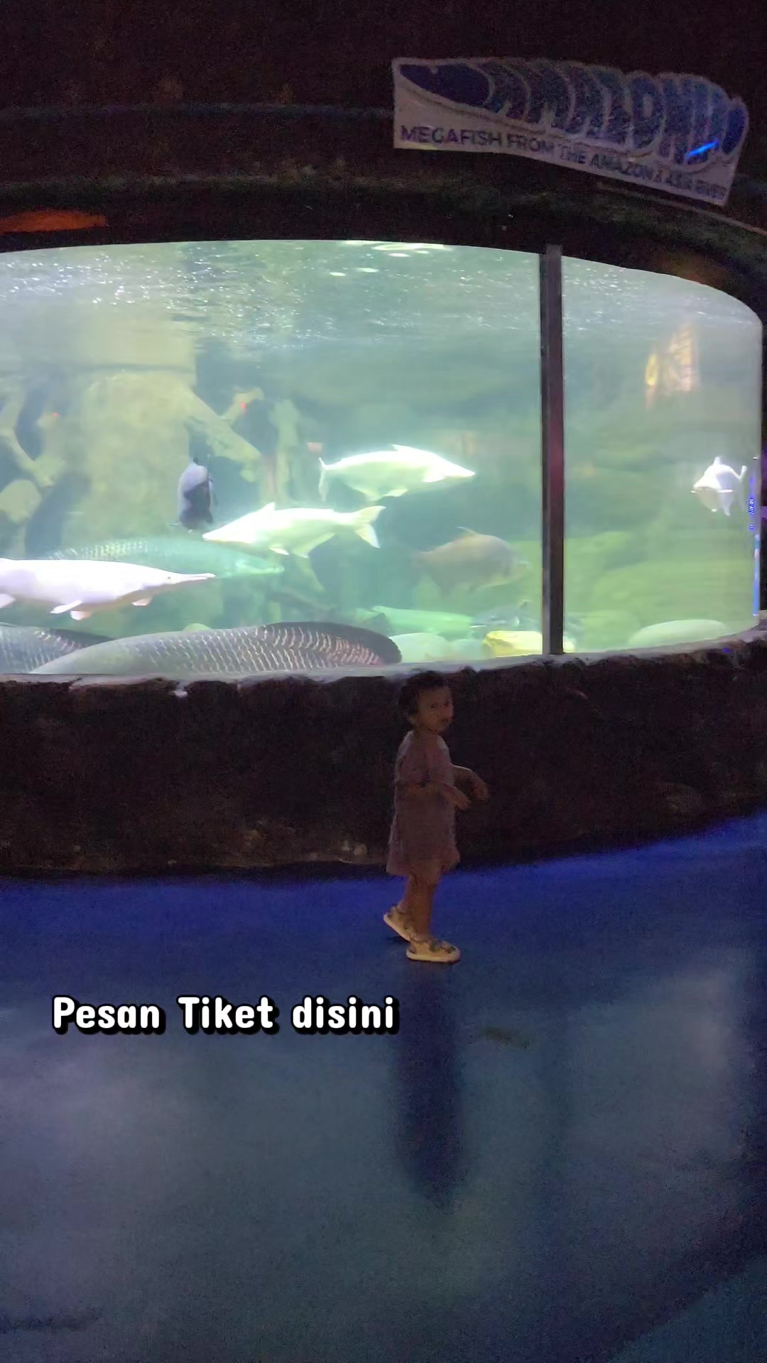 @Meri Siregar