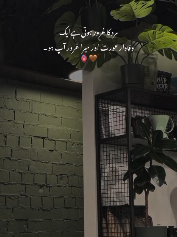 @𝙎 𝘼 𝘽 𝙄 𝙍🫀🤎