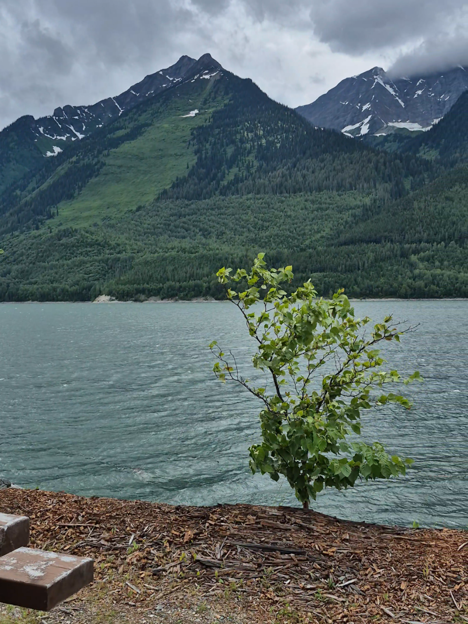 @Mooneyes199 🇨🇦