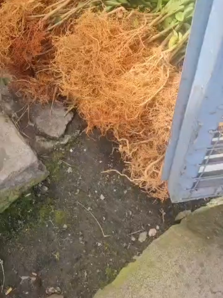 @FarmersTrend