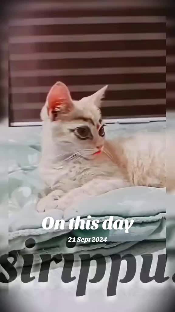 @muj627