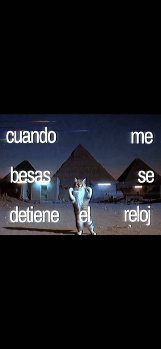 @jason