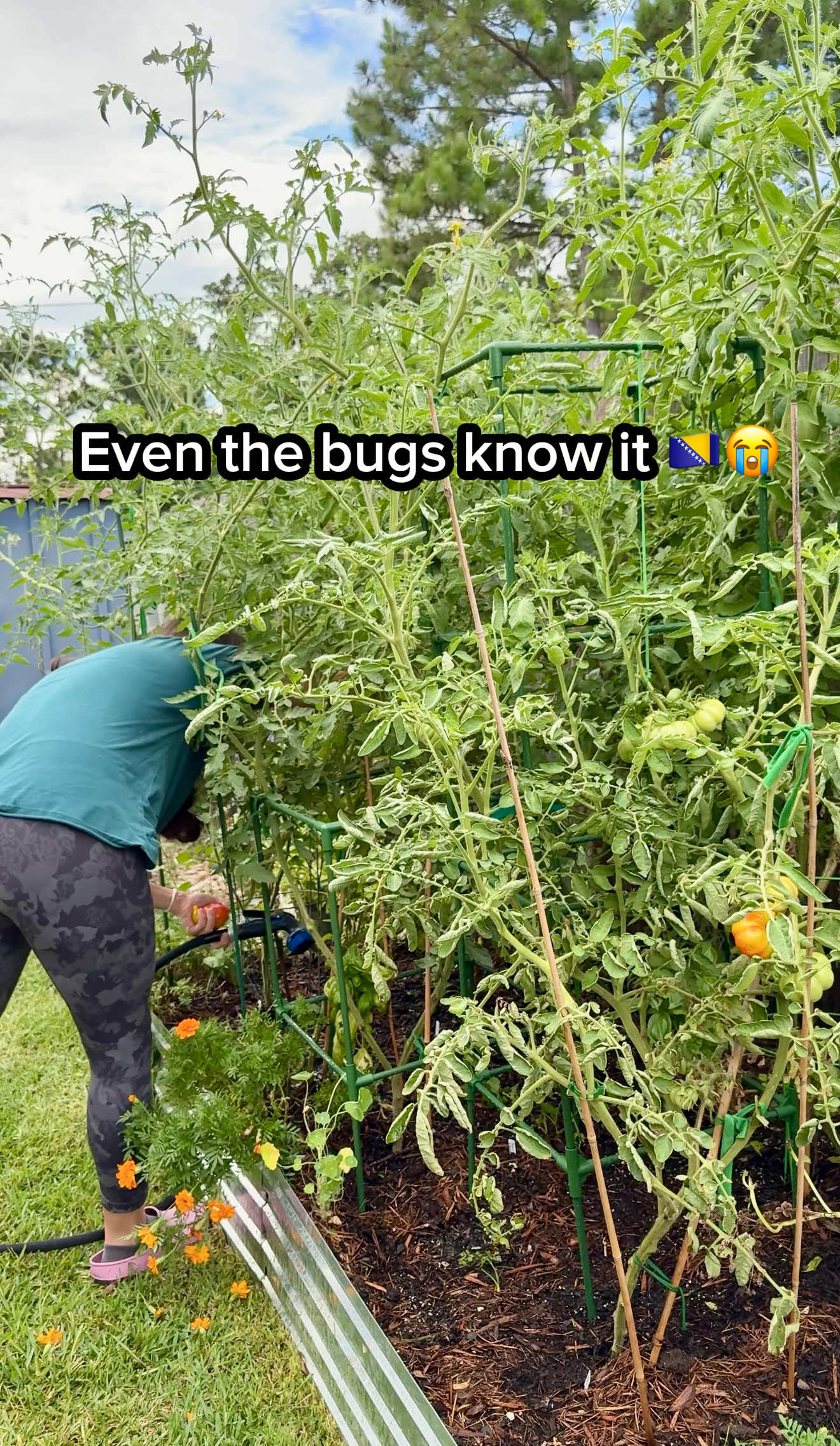 @Sara&rsquo;s Bites 🌱