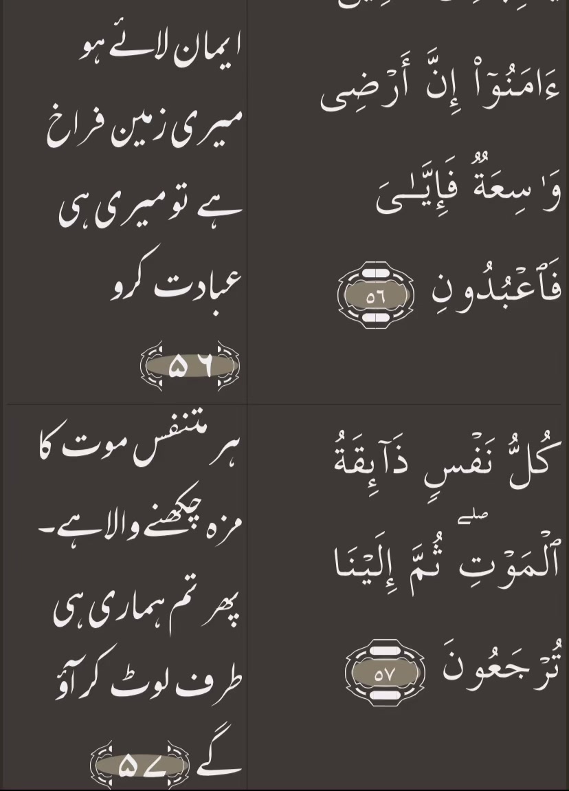 @Faizan ghafoor