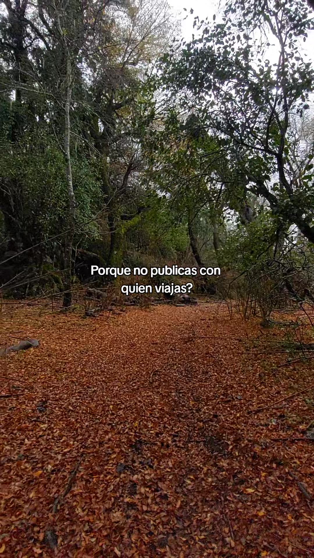 @almendra💞
