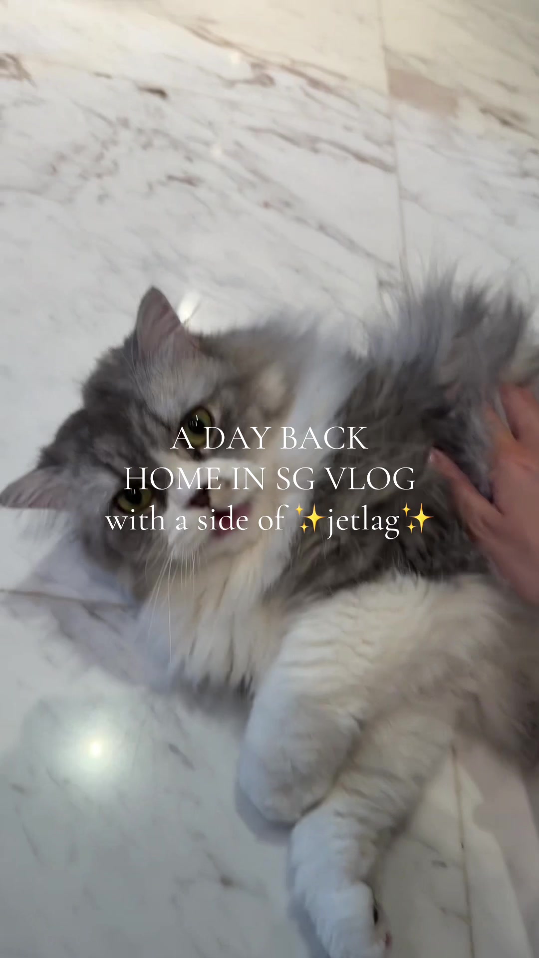 @alyna⁷