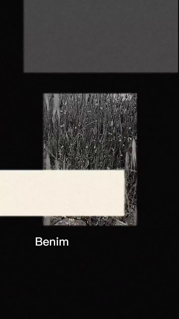 @Zeyno günn